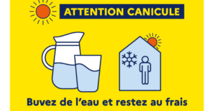 Canicule 2022