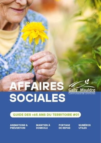 Guide des affaires sociales