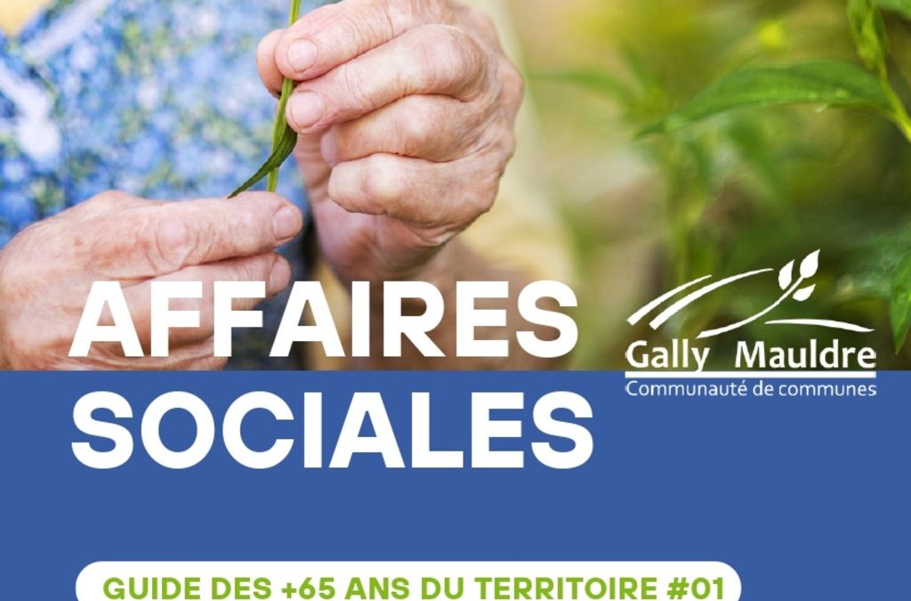 Guide des Affaires sociales