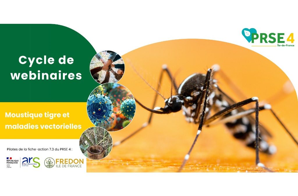 Moustique tigre : quels enjeux de santé publique ?